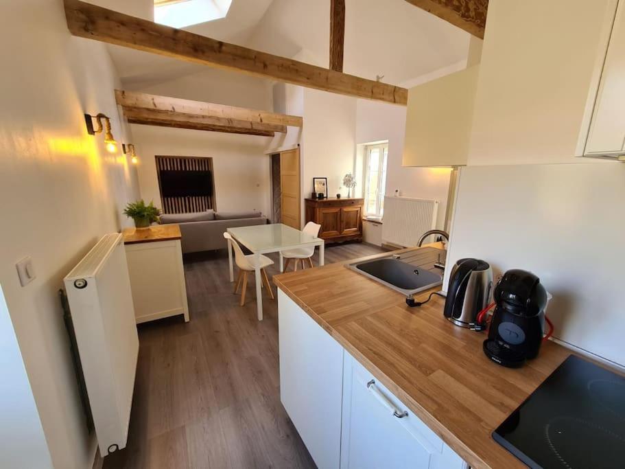 Joli Appartement Tout Confort Chalon-sur-Saône Dış mekan fotoğraf
